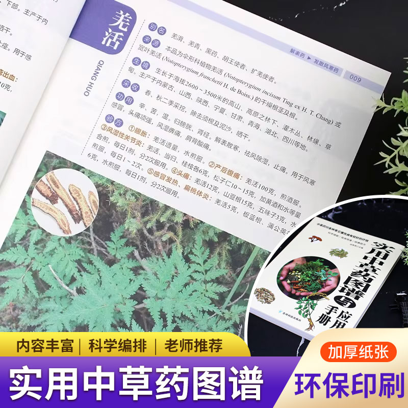 Wellness Herbal Medicine - 実践的なハーブアトラス＆マニュアル：症状ガイドと健康のヒントを備えた完全な中国医学コレクション