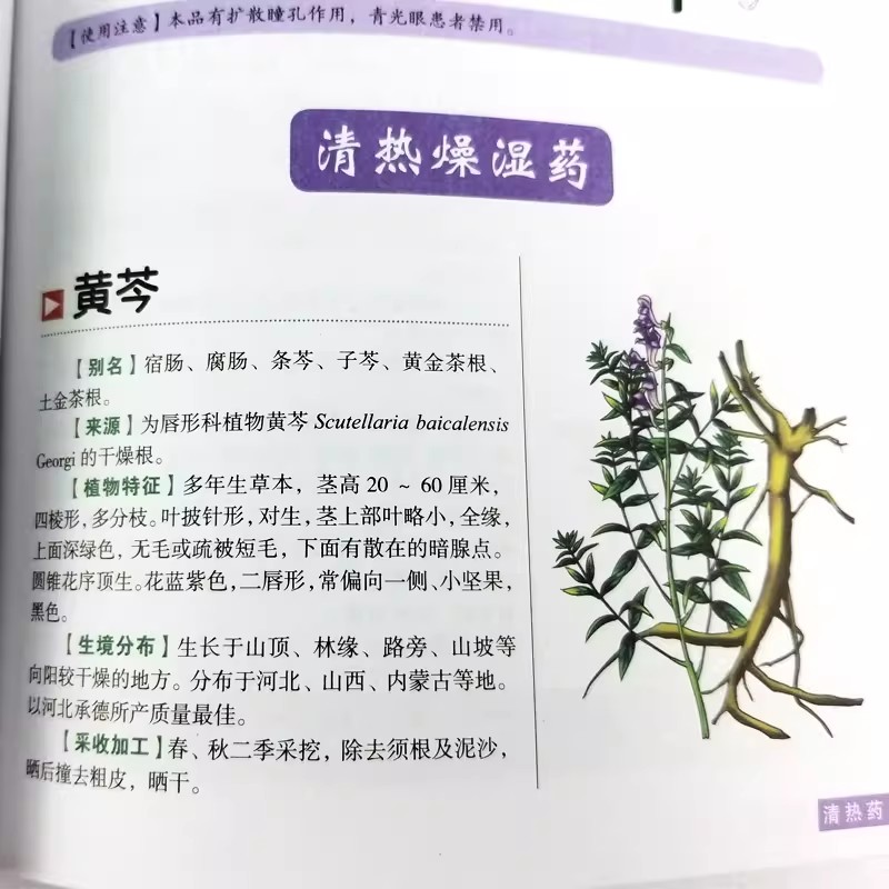 古代ハーバリウムのホリスティック健康ガイドブック：中国漢方薬 - Wellness Herbal Medicine のレビューと価格